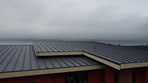 Fast & Reliable Emergency Roof Repairs in Tracy City, TN